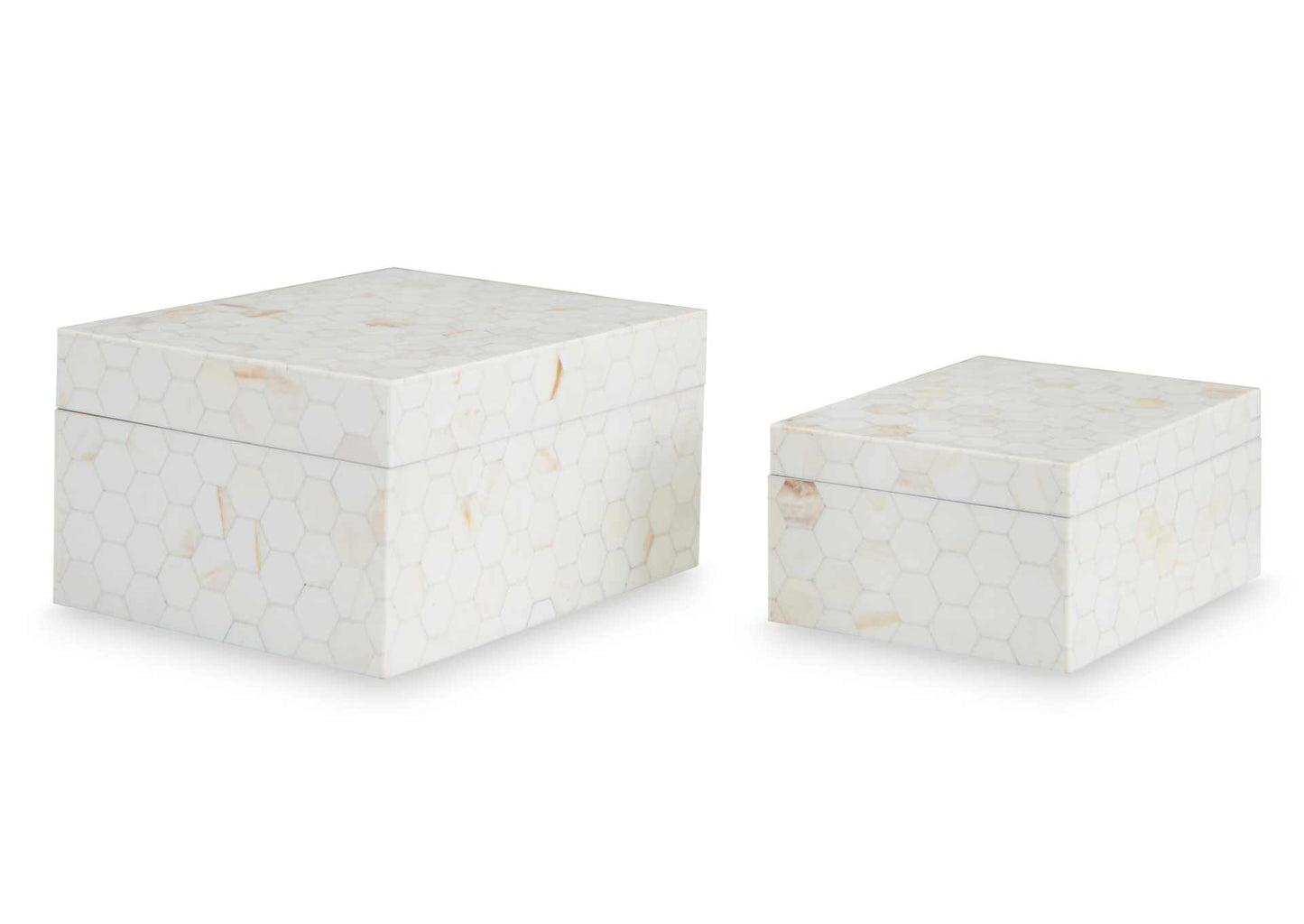 Cajas de almacenamiento Aldenburg