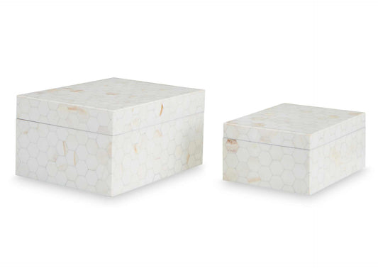 Cajas de almacenamiento Aldenburg