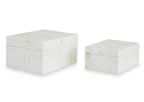 Cajas de almacenamiento Aldenburg