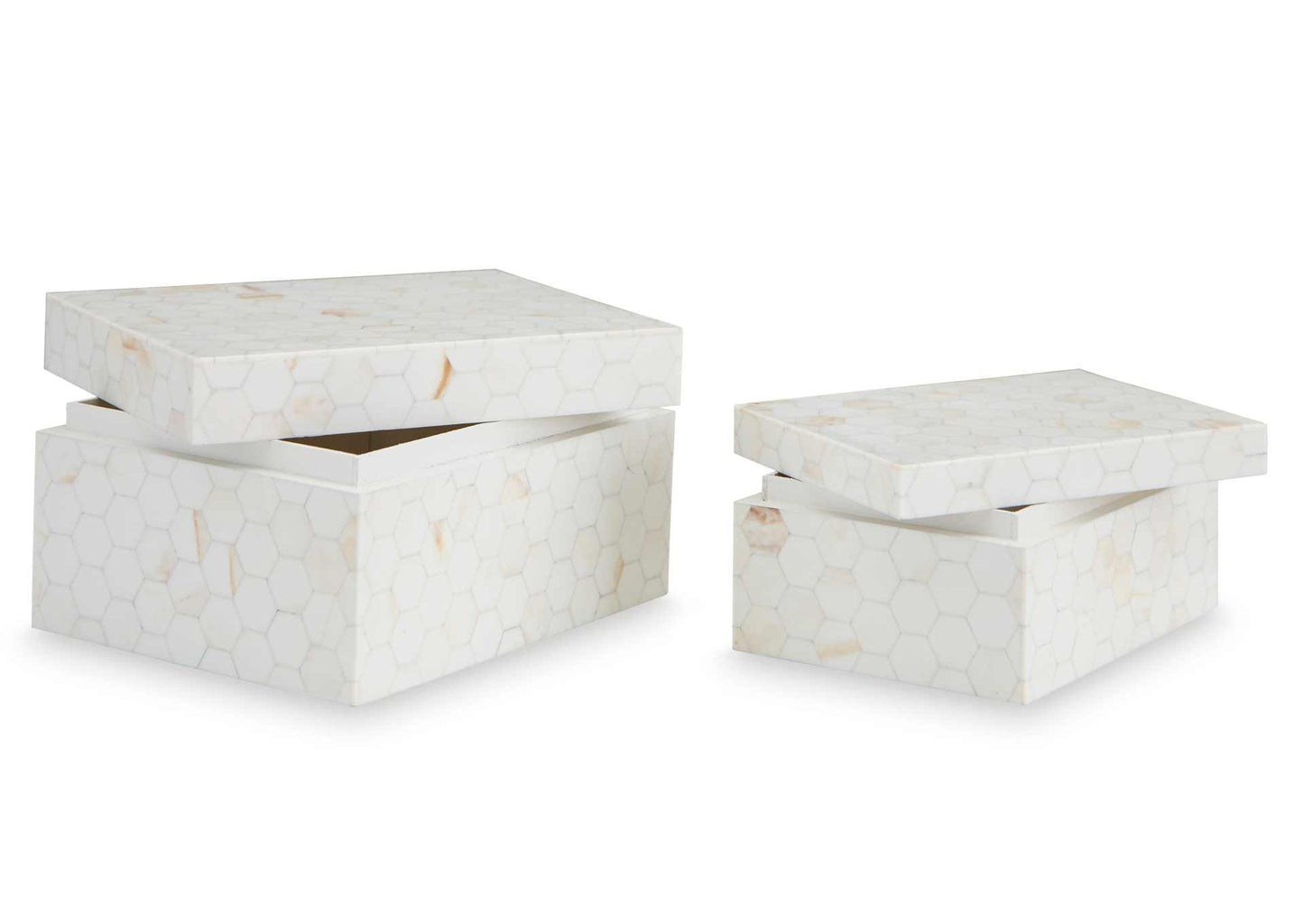 Cajas de almacenamiento Aldenburg