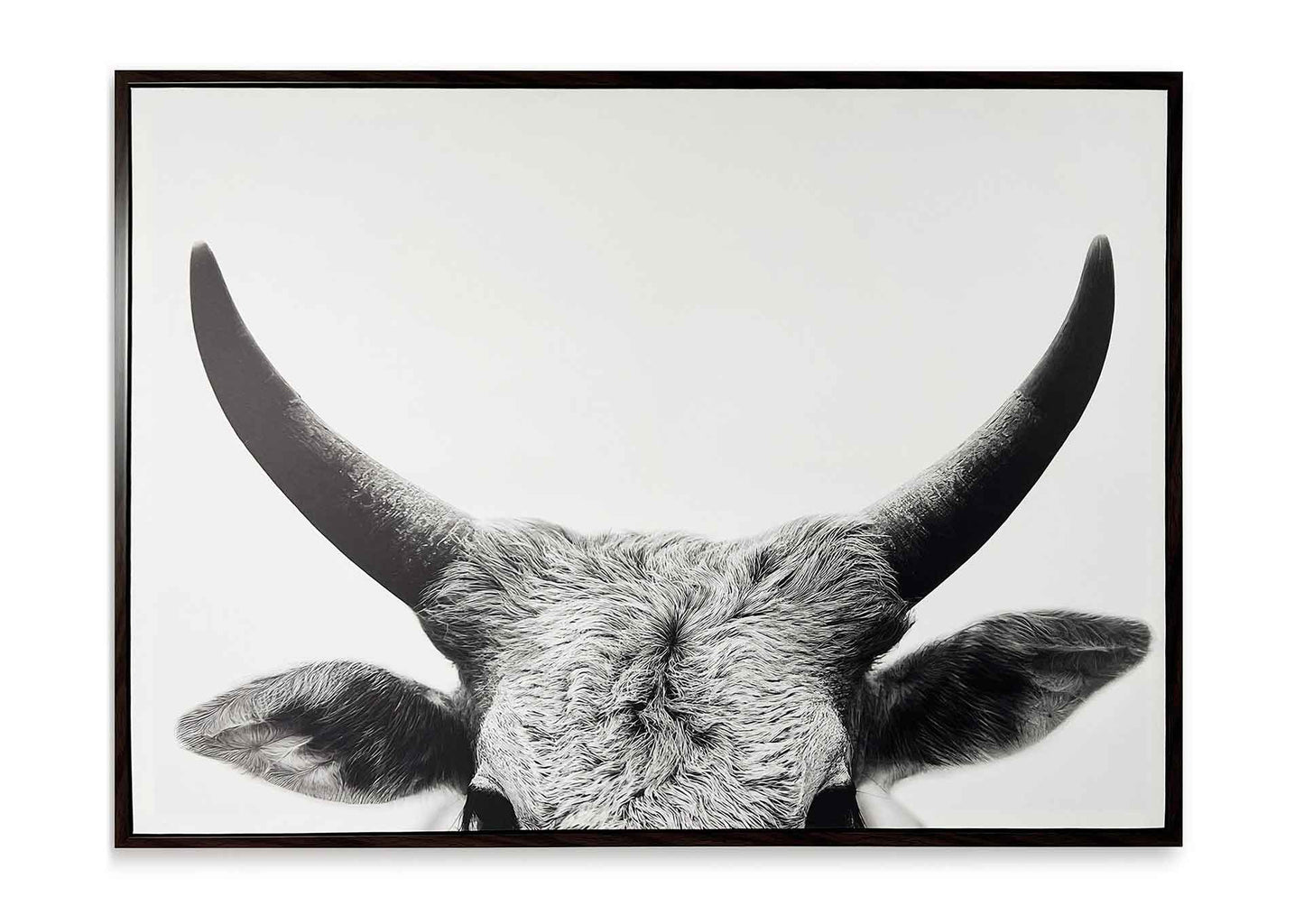 Cuadro Steer