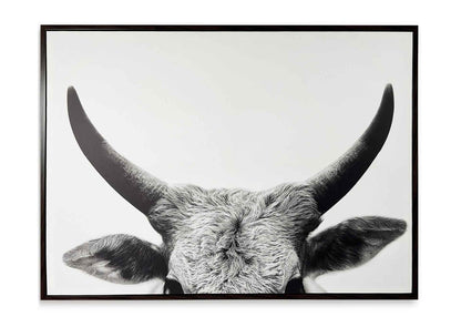 Cuadro Steer