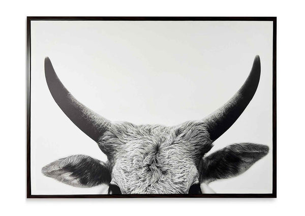 Cuadro Steer