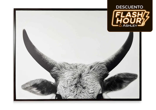 Cuadro Steer