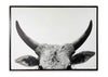 Cuadro Steer