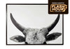 Cuadro Steer