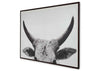 Cuadro Steer
