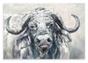 Cuadro Ox