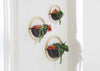 Maceta de pared Tobins (set 3 unidades)