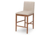 Silla bar Isanti